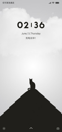 屋顶上的猫