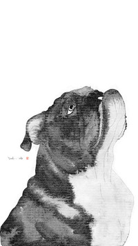 艺术家李军作品