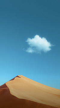 无惧风浪