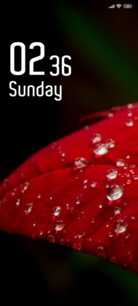 Leaf