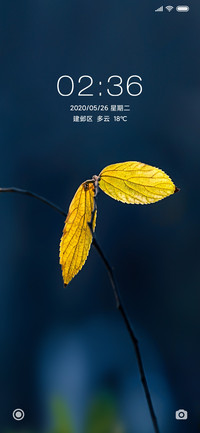 静谧秋叶