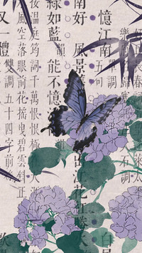 古风蝴蝶壁纸-锐景创意