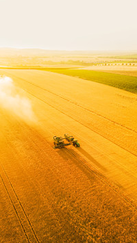 Combine harvester working on a field