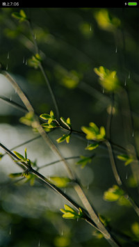 春意萌芽