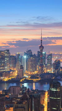 瑰丽夜上海