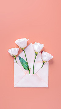 A Letter from Spring