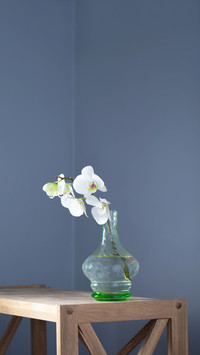 White orchid in vintage glass vase on wooden shelf
