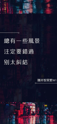 腾祥智黑繁W1