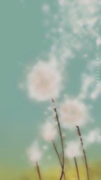 The one蒲公英