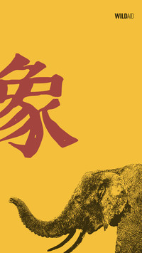 世界大象日