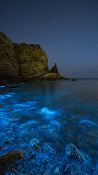 会发光的海滩