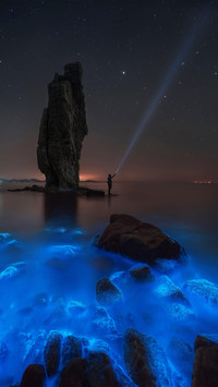 会发光的海滩