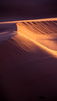 Pure desert
