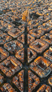 Entering the art world of barcelona