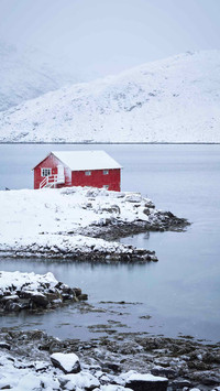 North country scene