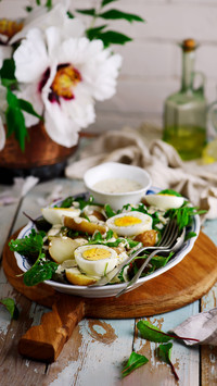 A tutorial on healthy fat reducing meals