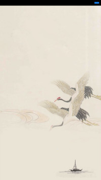 时光