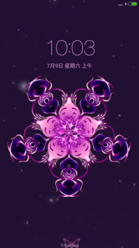 永不凋谢的爱
