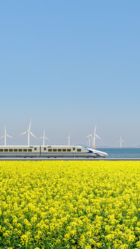 High-speed rail and offshore wind power generation