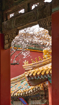 Ancient buildings also need to be adorned with flowers
