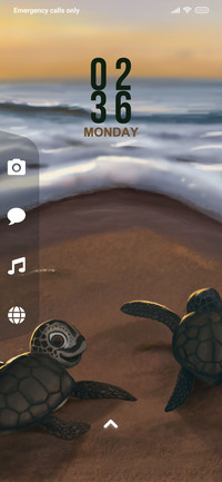 Sea Shore_3MDP