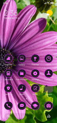 daisy purple