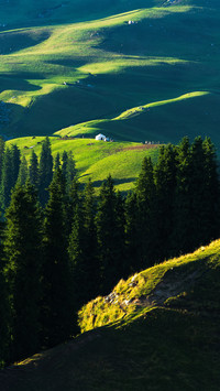 How fragrant altay is in summer
