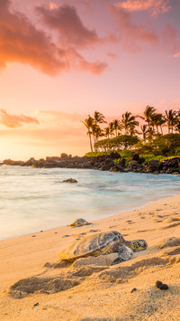 India-beach