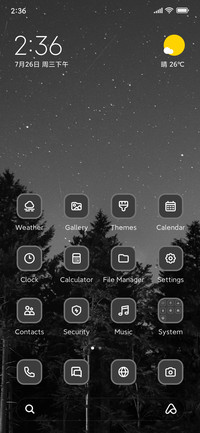 Forest night