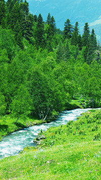 Natural rivers