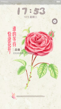 谁的等待，恰逢花开