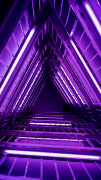 Neon12