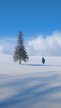 来一场冰雪之约