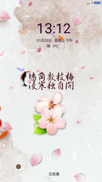 雪梅花