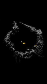 黑猫先生-拍信图库