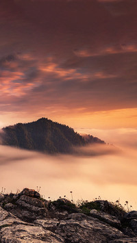 A sea of clouds on the top of the mountain