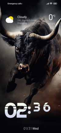 wildlife bull