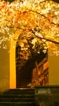 One door embraces all the autumns of the world