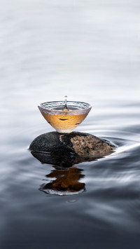 Drink this for disease prevention and antiaging