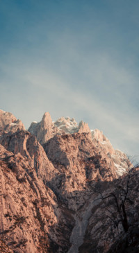 Nature B6 (28)