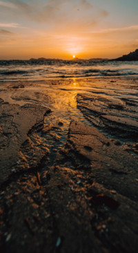 Nature B6 (22)