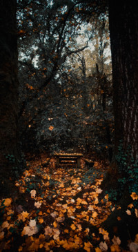 Nature B6 (8)