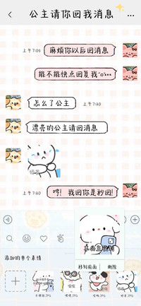 公主请你回我消息