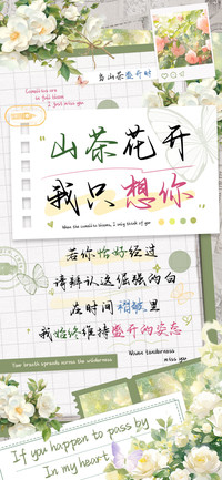 山茶花开我只想你