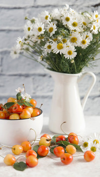What kind of flowers should I choose in autumn 7