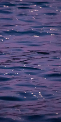 Purple Style5.jpg