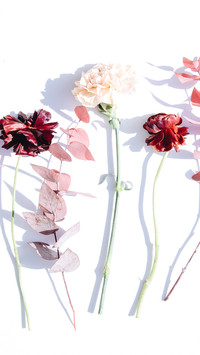 international_lifestyle (2)