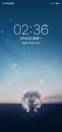 蒲公英的约定