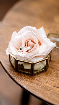 Close up view of rose in transparent box on a wooden table