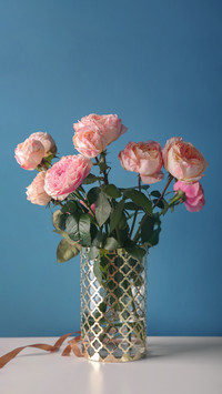 Plants suitable for keeping at home 07